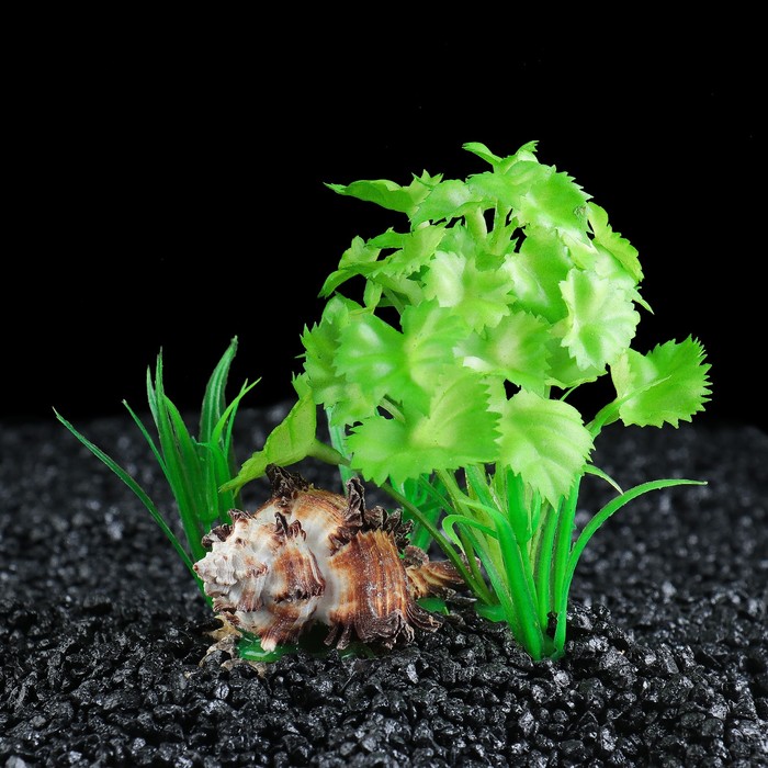 Островок с ракушкой и растениями искусственными для аквариума, 15 х 10 х 10 см