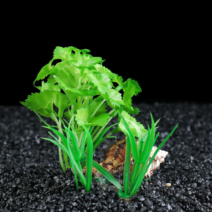 Островок с ракушкой и растениями искусственными для аквариума, 15 х 10 х 10 см