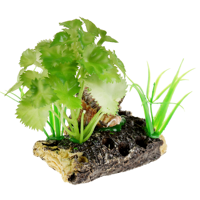 Островок с ракушкой и растениями искусственными для аквариума, 15 х 10 х 10 см