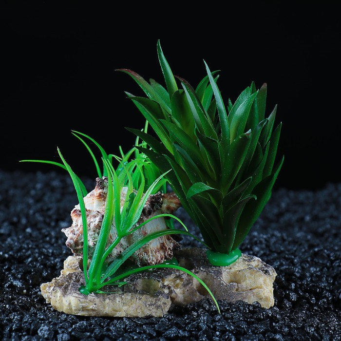 Островок с ракушкой и растениями искусственными для аквариума, 13 х 12 х 10 см