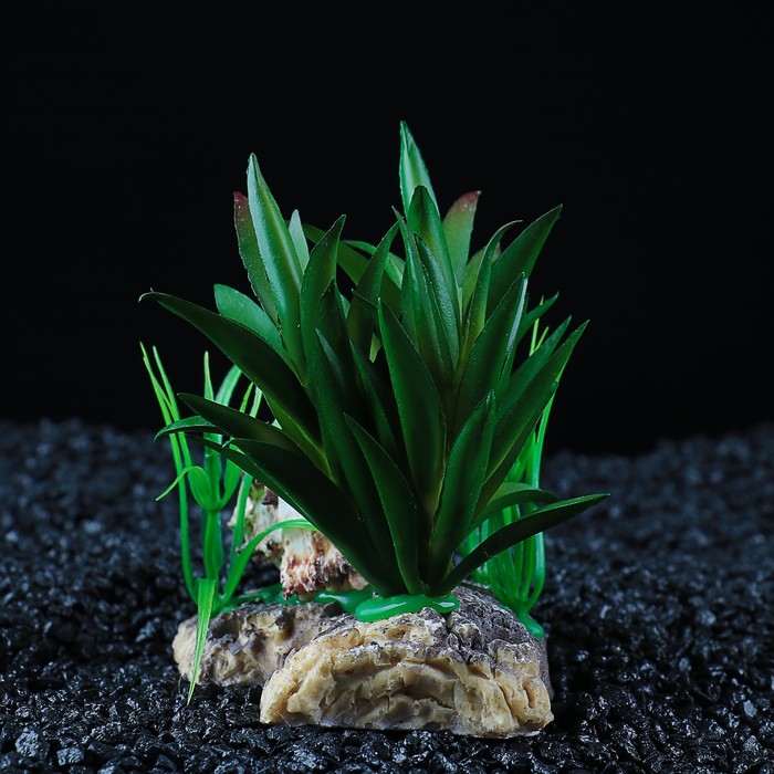 Островок с ракушкой и растениями искусственными для аквариума, 13 х 12 х 10 см