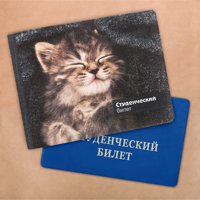 Обложка на студенческий "Серый котенок"