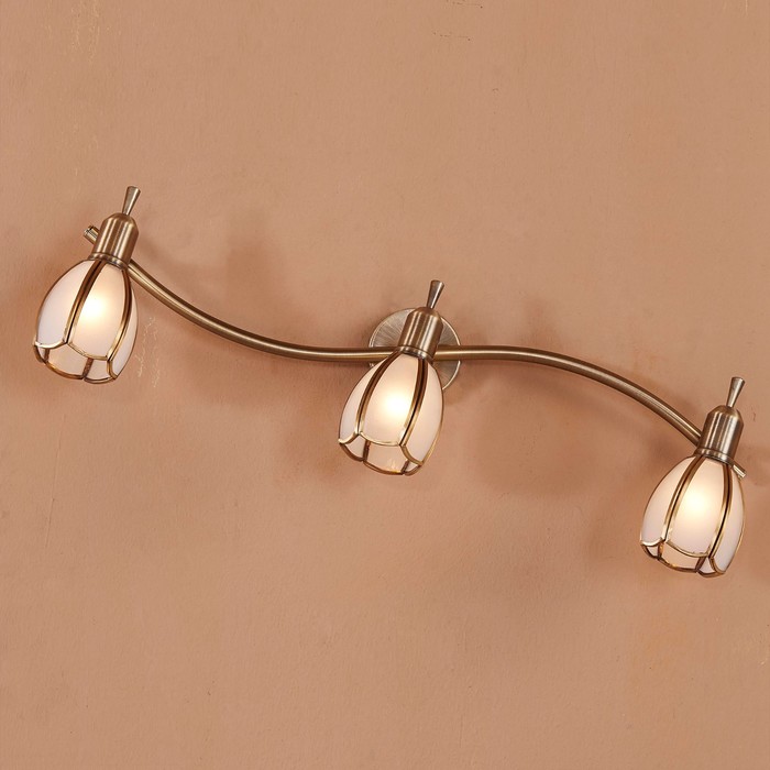 Потолочный светильник CL522631 "Альтен-2" 3x60W E14 бронза 17x60x17 см