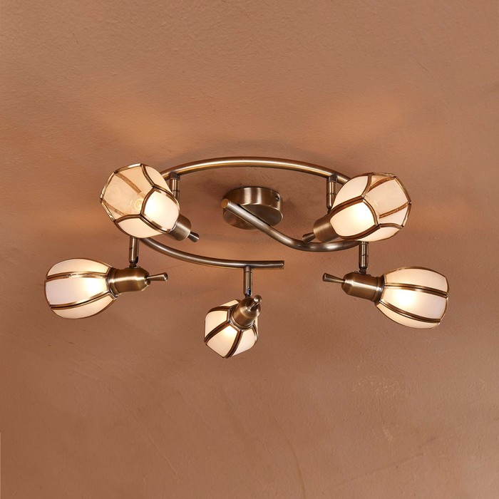 Потолочный светильник CL522651 "Альтен-2" 5x60W E14 бронза 56x56x16 см