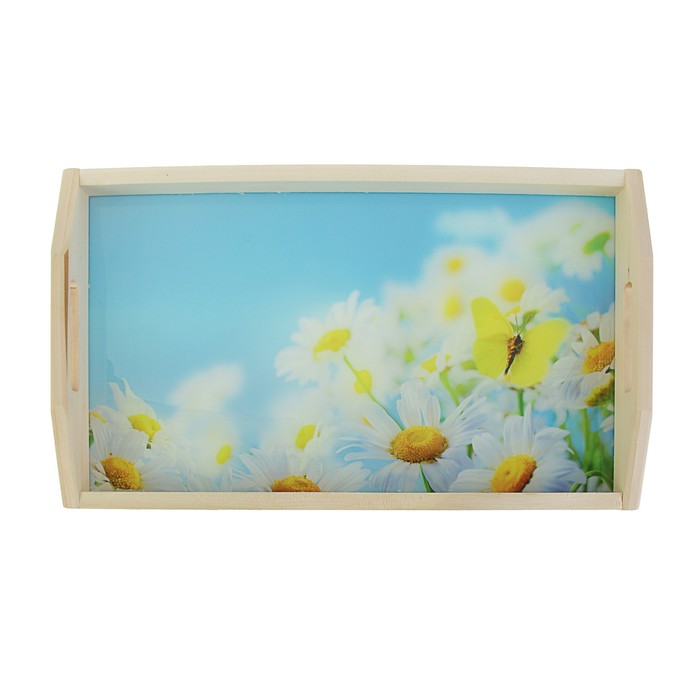 Поднос для завтрака "Ромашки", стеклянная поверхность, 50х7х29,5смр-р длина 50см*высота 7см* 28740