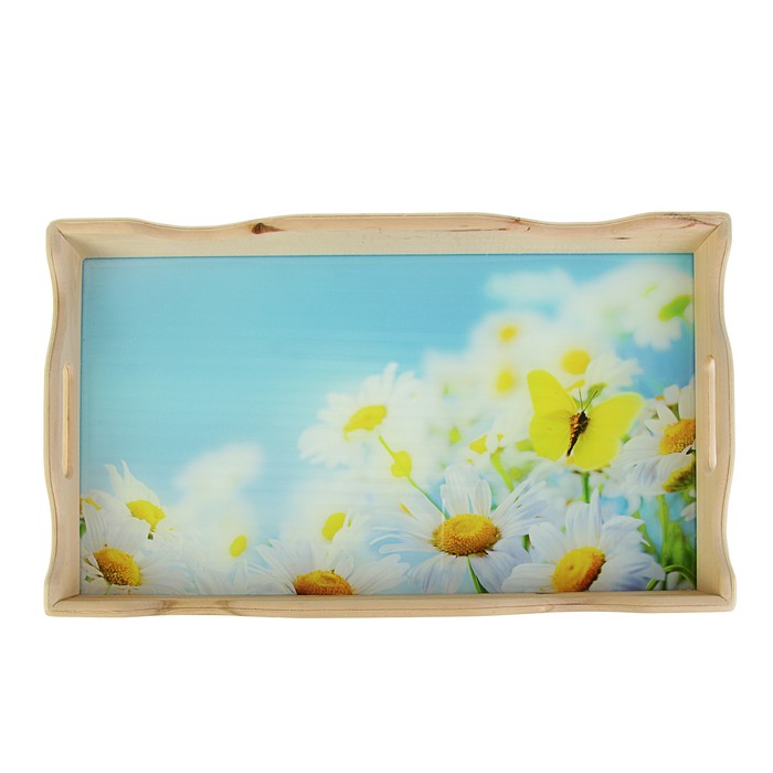 Поднос фигурный для завтрака "Ромашки", стеклянная поверхность, 49х6х28,5см