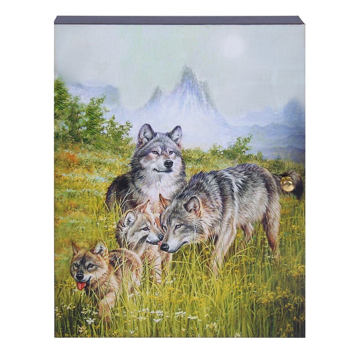 Ключница "Вожак" 19х25,6 см МИКС