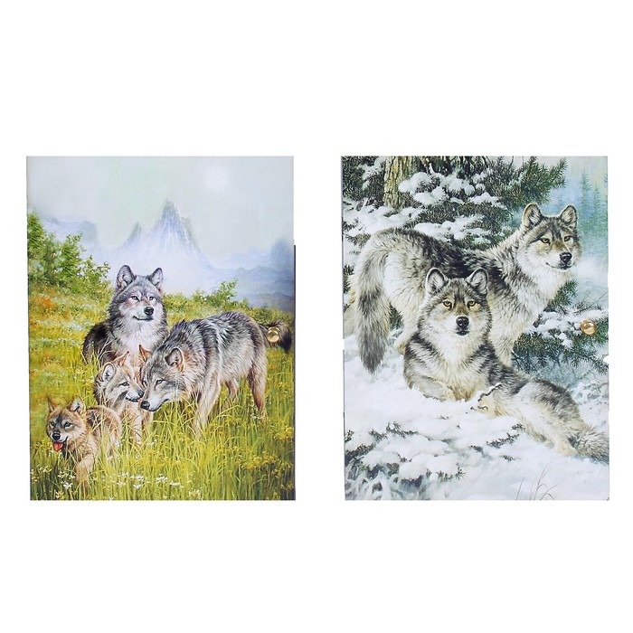 Ключница "Вожак" 19х25,6 см МИКС