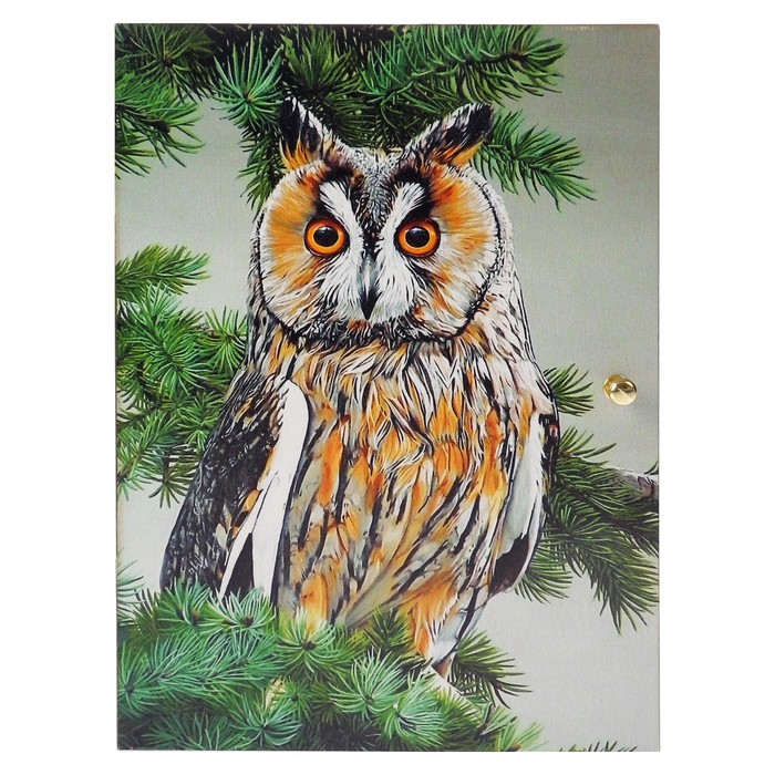 Ключница  "Сова" 19х25,6 см