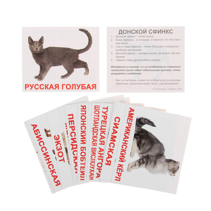 Обучающие карточки "Мини-20. Породы кошек" 1536