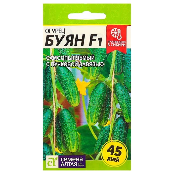 Семена Огурец "Буян", раннеспелый, партенокарпический, цп, 5 шт.