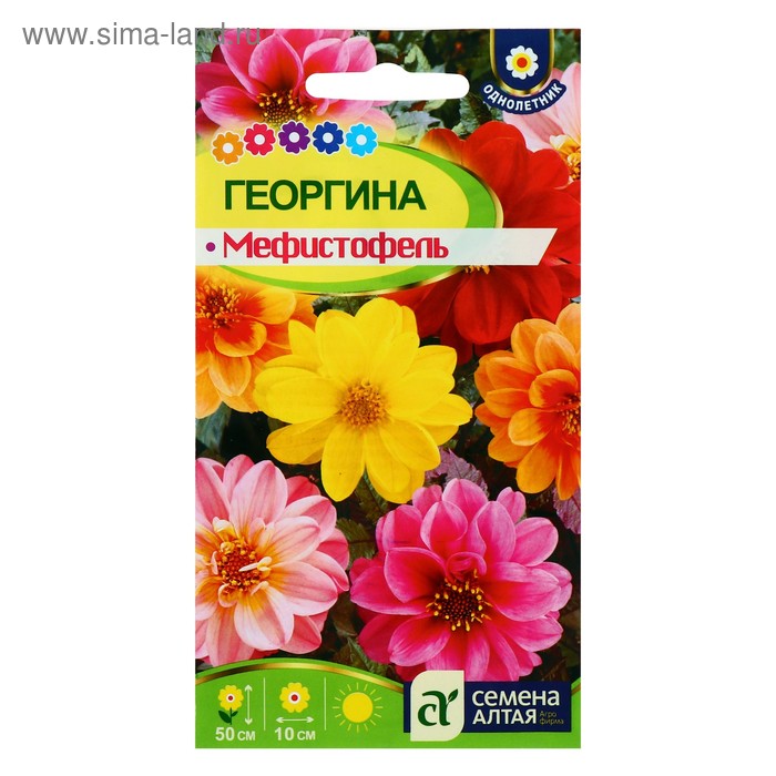 Семена цветов Георгина 