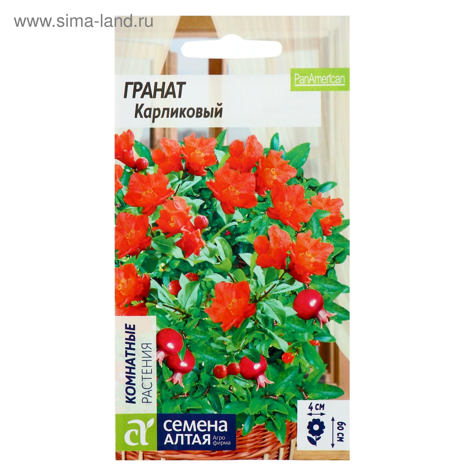 Семена Комнатных Цветов Фото