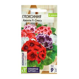 Семена комнатных цветов Глоксиния "Аванти" Смесь F1, Мн, цп, 8 шт.