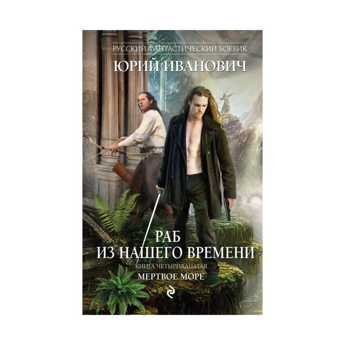 Раб из нашего времени. Книга четырнадцатая. Мертвое море