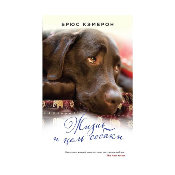 Жизнь и цель собаки (с полусупером)