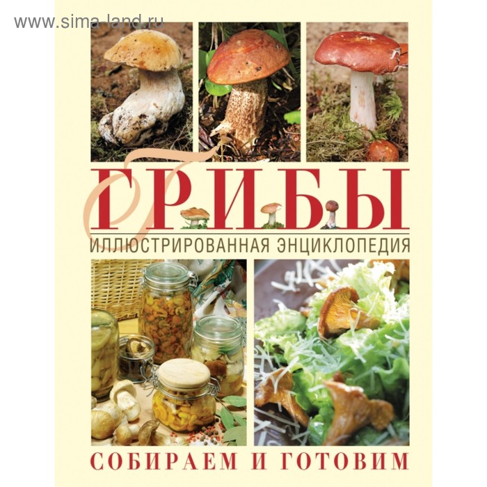 

Грибы. Иллюстрированная энциклопедия. Собираем и готовим. Ильина Т. А.