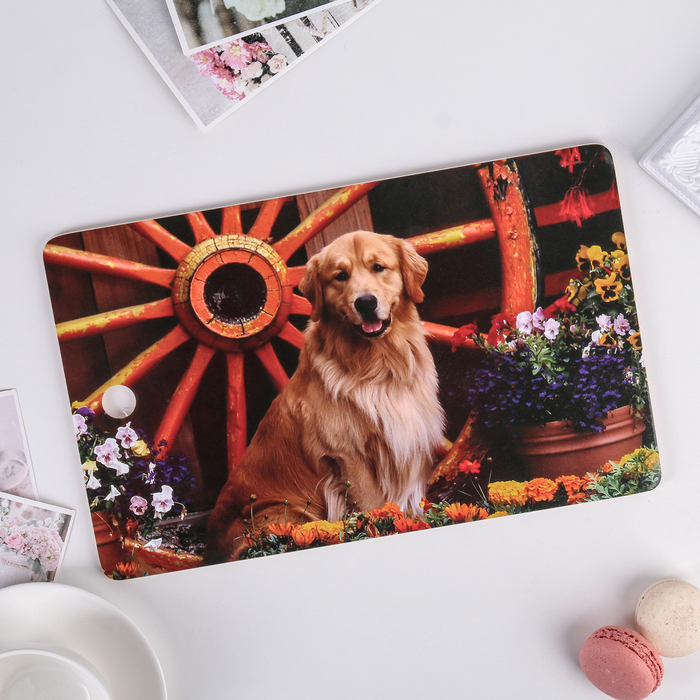 Доска разделочная 18,5х30х0,6 см "Ретривер"