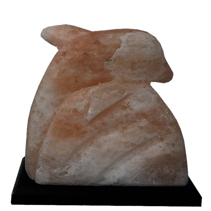 Светильник "Дельфин" 1,5-2,5кг Пакистанская красная соль 18х18х8см