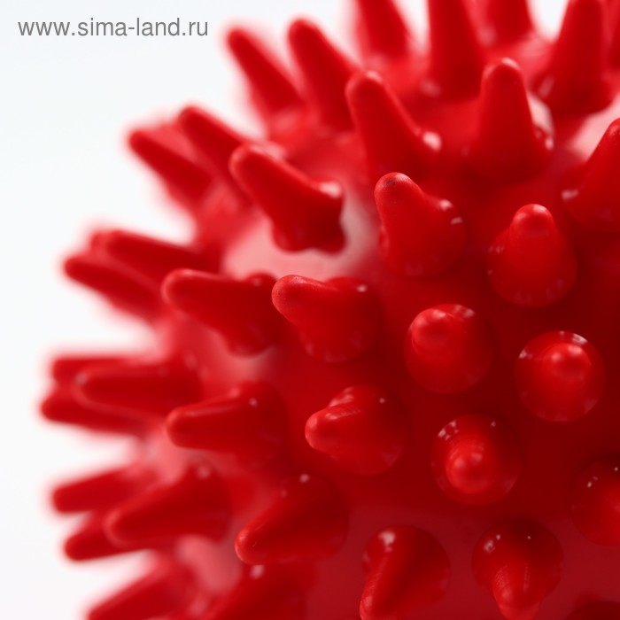фото Мяч-ёжик «малышок!», диаметр 65 мм, цвет красный, в пакете