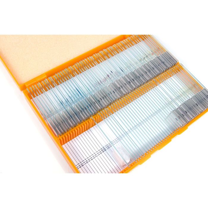 Набор микропрепаратов Levenhuk N80 NG «Увидеть все!»