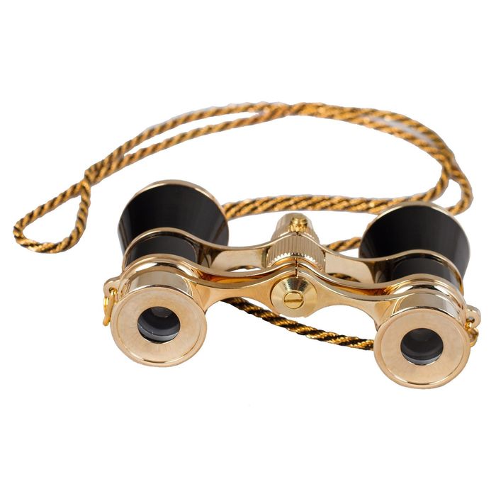 Бинокль Levenhuk Broadway 325F с подсветкой и цепочкой, черный