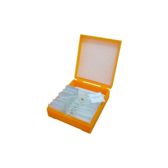 Набор микропрепаратов Levenhuk N10 NG