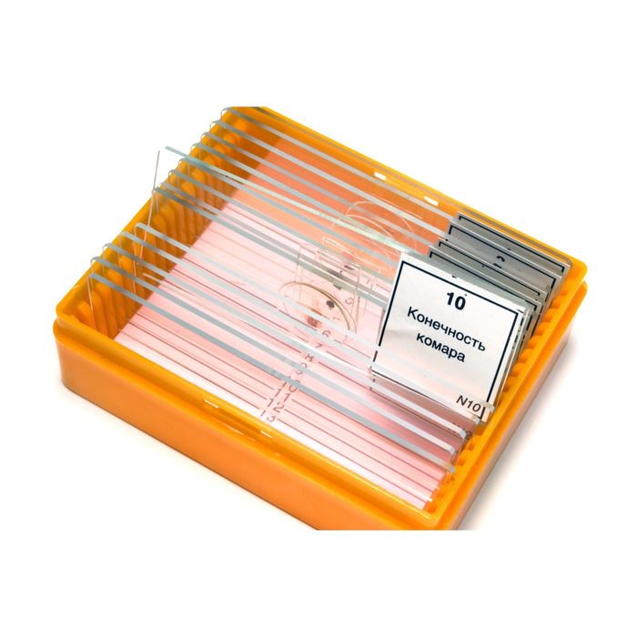 Набор микропрепаратов Levenhuk N10 NG