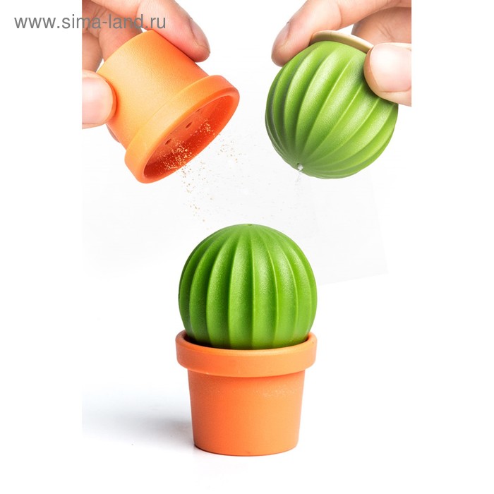 

Набор для специй Cactus
