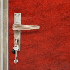 Комплект для обивки дверей 110 × 205 см: иск.кожа, поролон 5 мм, гвозди, струна, рыжий, «Рулон»