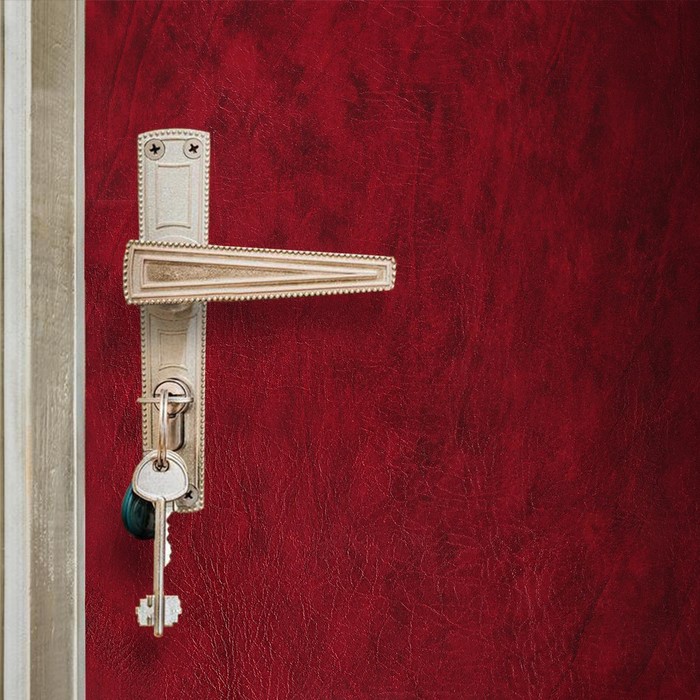 Комплект для обивки дверей 110 × 205 см: иск.кожа, ватин 5 мм, гвозди, струна, бордовый, «Ватин»