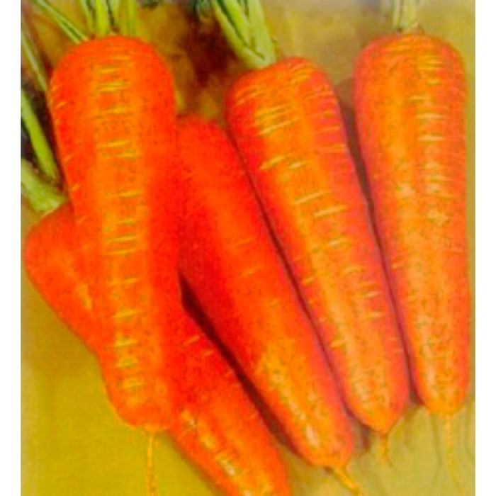 Семена Морковь Курода Шантанэ, 1 кг, Sakata