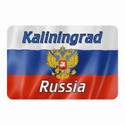 Магнит полимерный "Калининград" герб, 9х6см