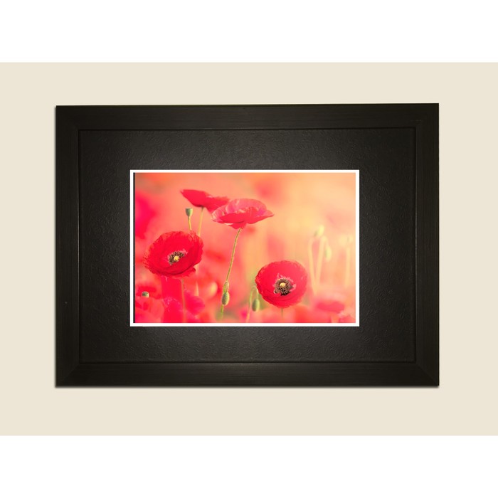 Картина в дизайнерской раме "Красные маки" серии Black, 40х30см