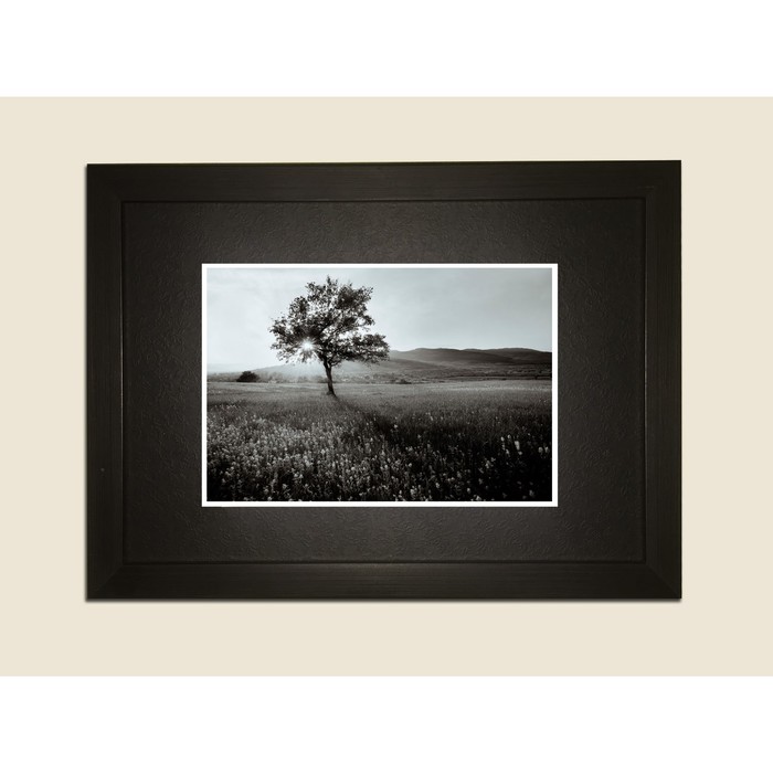Картина в дизайнерской раме "Чёрно-белое изображение дерева" серии Black, 30х20см
