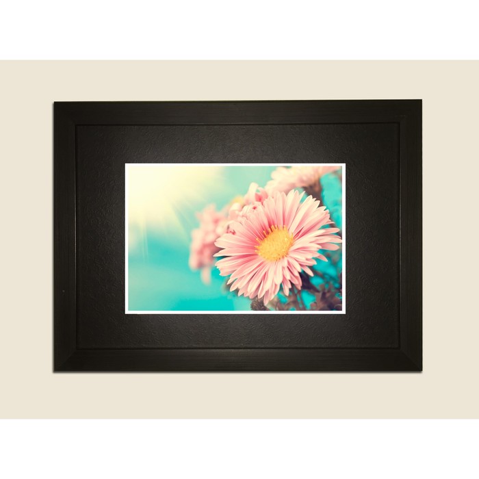 Картина в дизайнерской раме "Розовая ромашка на голубом фоне" серии Black, 40х30см