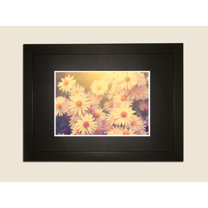 Картина в дизайнерской раме "Милые белые ромашки" серии Black, 40х30см