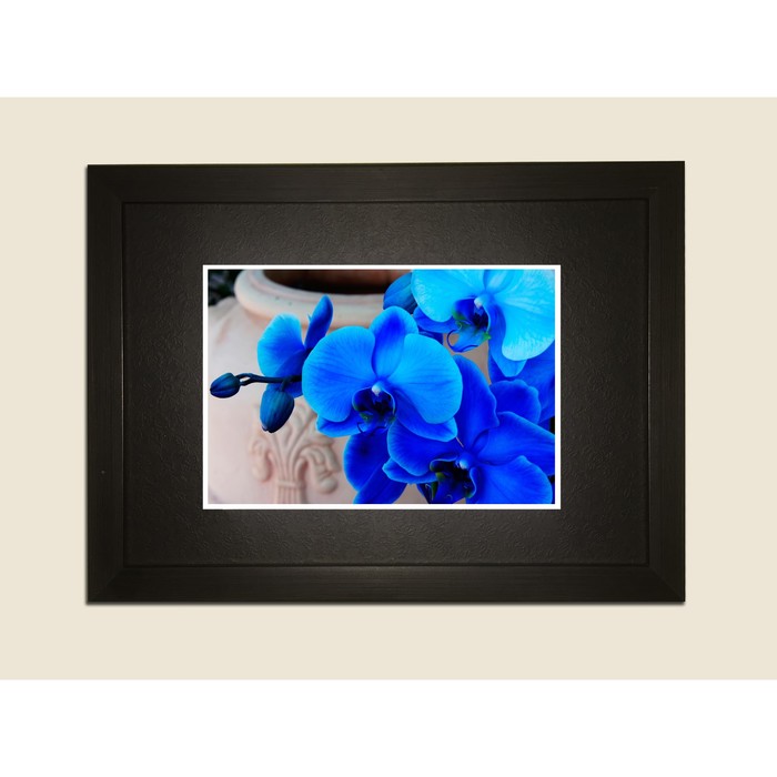 Картина в дизайнерской раме "Голубые орхидеи" серии Black, 40х30см