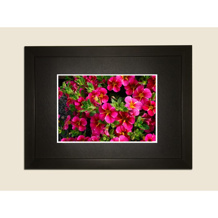 Картина в дизайнерской раме "Красивые бордовые цвветочки" серии Black, 40х30см
