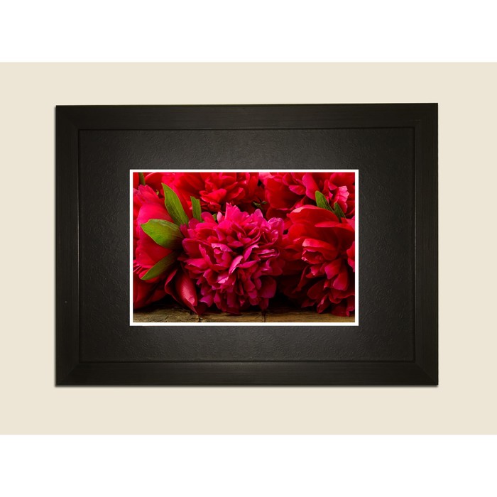 Картина в дизайнерской раме "Яркие пионы" серии Black, 40х30см
