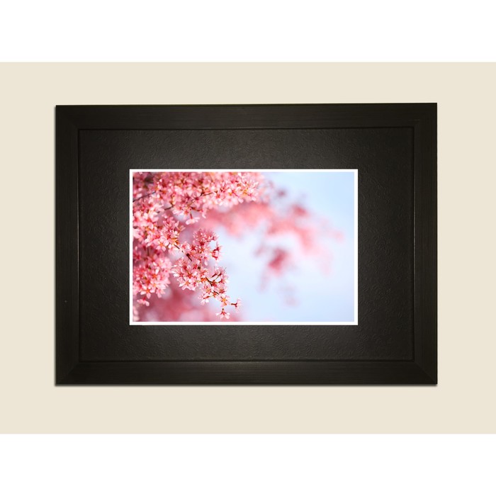 Картина в дизайнерской раме "Розовые вишни сакуры" серии Black, 40х30см