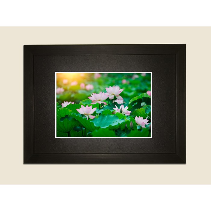 Картина в дизайнерской раме "Розовые цветки лотоса" серии Black, 40х30см