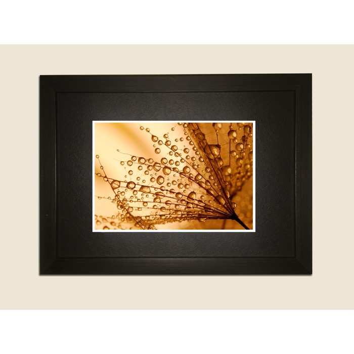 Картина в дизайнерской раме "Одуванчик в утренней росе" серии Black, 40х30см