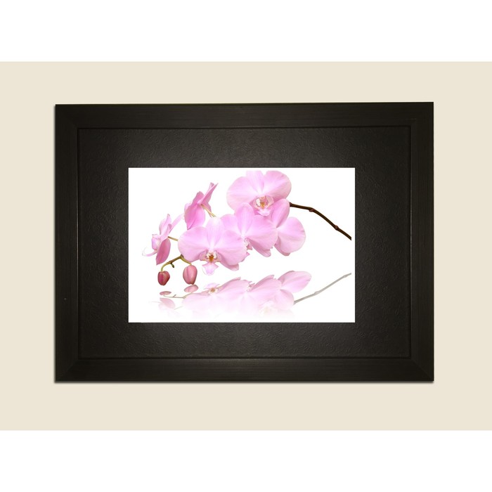 Картина в дизайнерской раме "Светло-розовая орхидея на белом фоне" серии Black, 40х30см