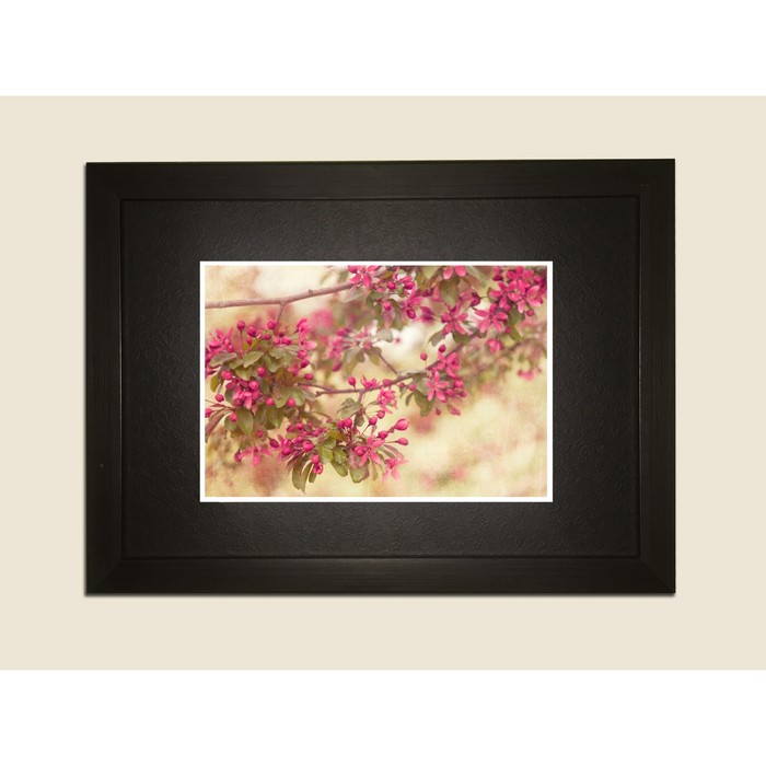 Картина в дизайнерской раме "Розовые цветы вишни" серии Black, 30х20см