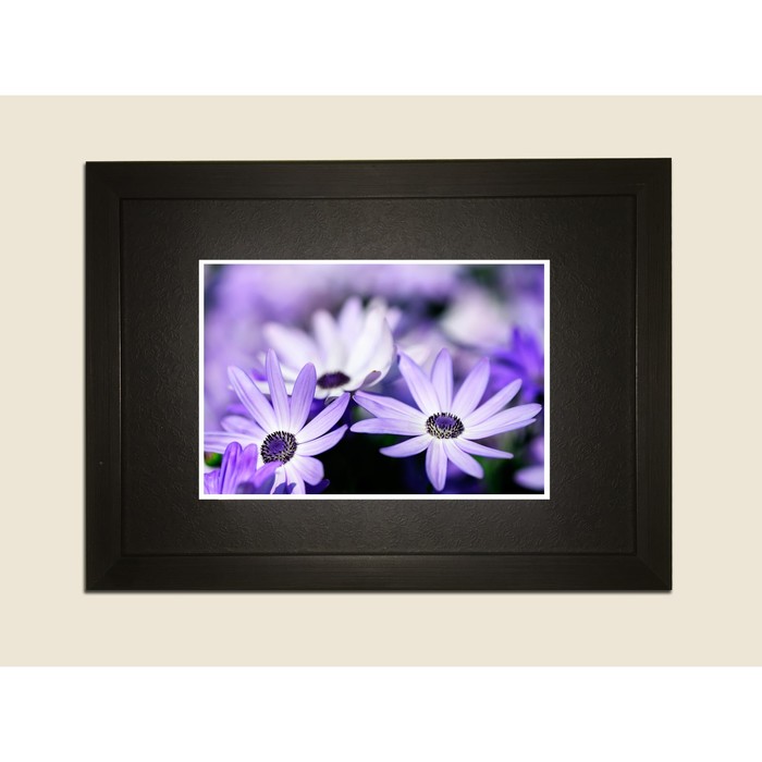 Картина в дизайнерской раме "Фиолетовые цветочки" серии Black, 40х30см