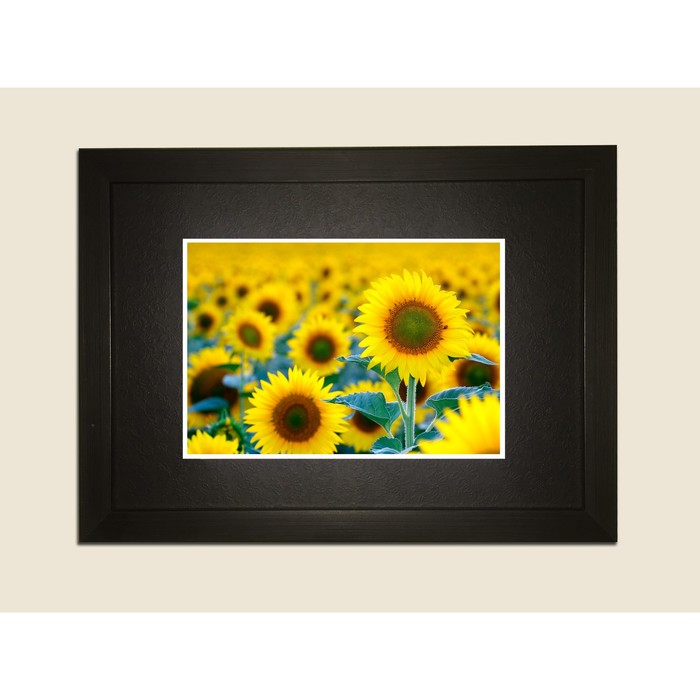 Картина в дизайнерской раме "Желтые подсолнечники" серии Black, 30х20см