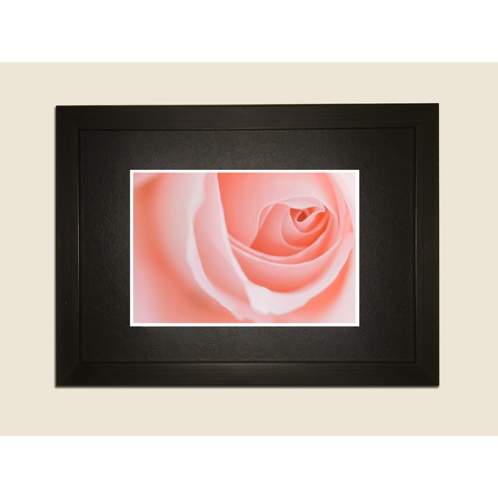 Картина в дизайнерской раме "Бутон розовой розы" серии Black, 40х30см