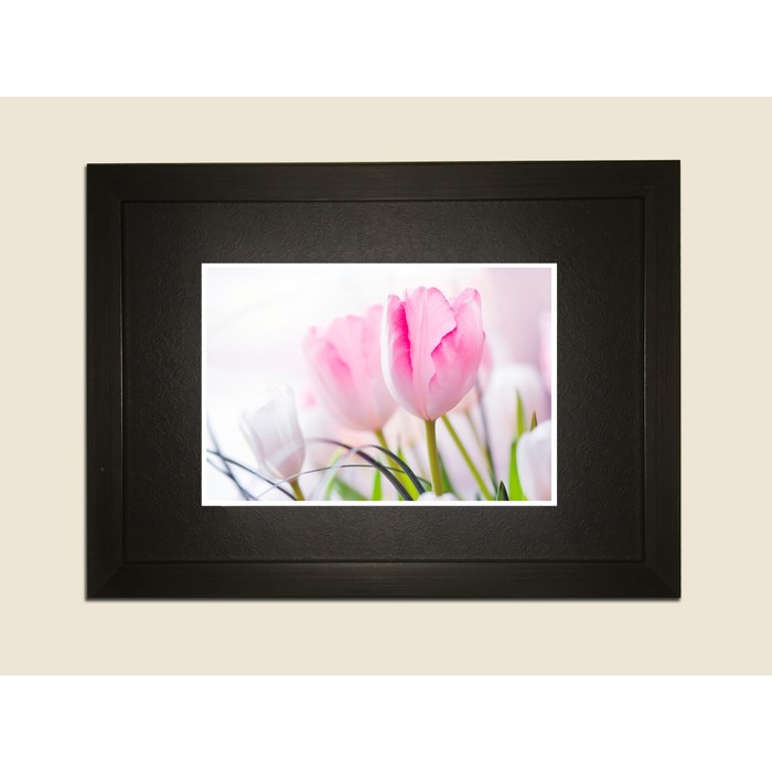 Картина в дизайнерской раме "Белые тюльпаны" серии Black, 30х20см