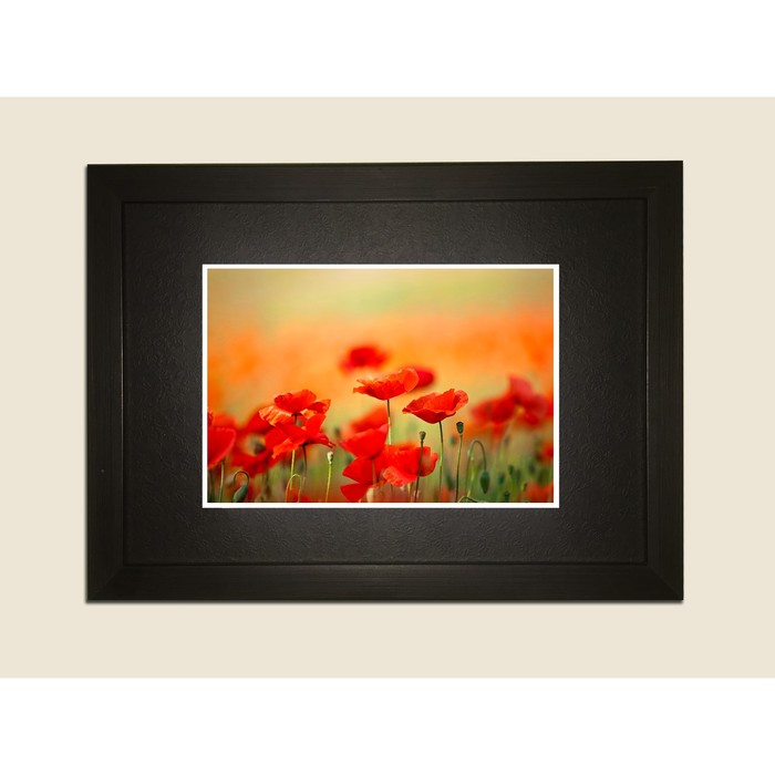 Картина в дизайнерской раме "Красивые красные маки" серии Black, 40х30см